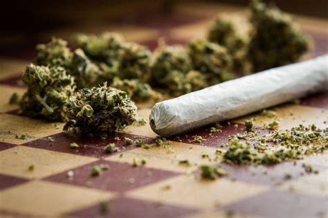 Mariguana será reclasificada como droga de bajo riesgo en Estados