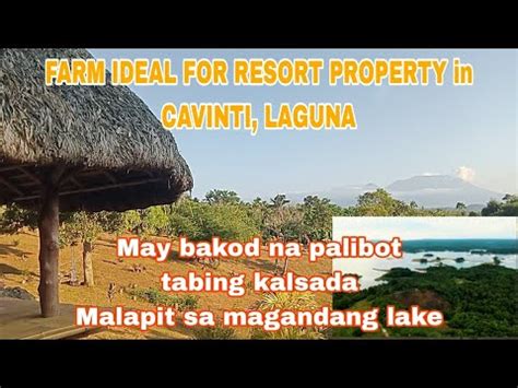 P 561 Farm Ideal For Resort 8 394 Sqms Pwede Magcut Ng 3 000 And