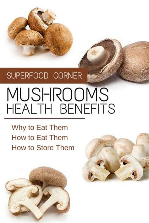 The Health Benefits of Mushrooms - Simple Roots