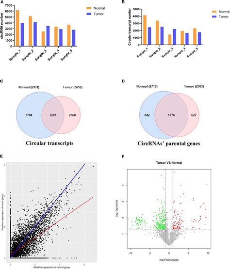 Frontiers Genome Wide Analysis Of The Expression Of Circular Rna Full