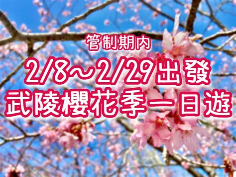 2024武陵農場櫻花季一日遊懶人包and預約國光客運武陵賞櫻專車 國光威樂假期