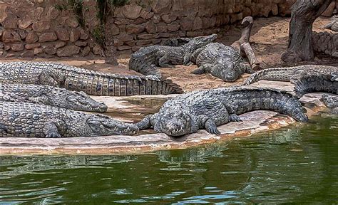 D Couverte Des Attractions Du Sud Como Discover Ivorycoast