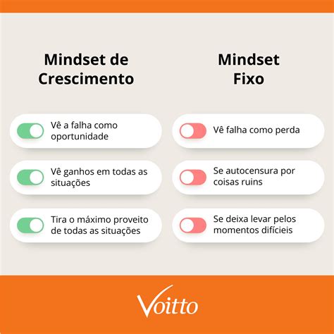 Quais Os Tipos De Mindset LIBRAIN