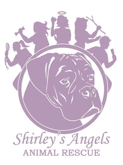 Shirley's Angels Animal Rescue | CUDDLY