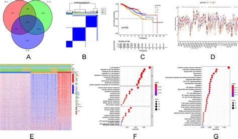 Gene Subtypes Based On Prgs A Venn Diagram Showing Degs For The Download Scientific Diagram