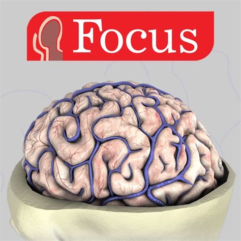 NEUROANATOMY - Digital Anatomy by Focus Medica