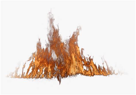 Tree On Fire Png, Transparent Png - kindpng