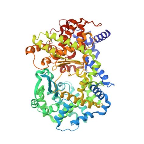 Gene P Protein Ece Overview Cansar Ai