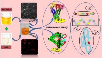 Bsa Hewl Journal Of Molecular