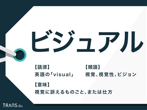 「ビジュアル」の意味と使い方とは？類語と英語も一緒に習得 Transbiz