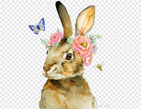 Brown Bunny Illustration The Tale Of Peter Rabbit T Shirt Watercolor