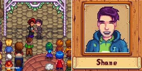 Stardew Valley A Complete Guide To Marrying Shane