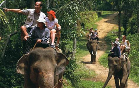 Wisata Naik Gajah Bali Elephant Safari Ride Bali