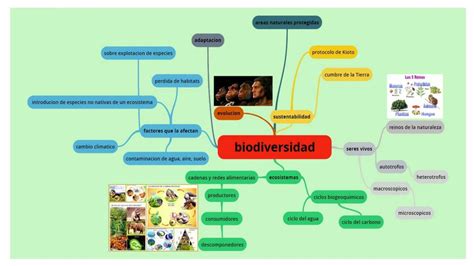 Ciencias Naturales 2 2 Mapa Mental De Biodiversidad Otosection Porn