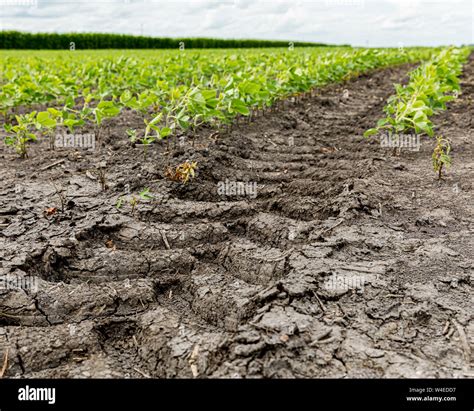 Soil Compaction Hi Res Stock Photography And Images Alamy