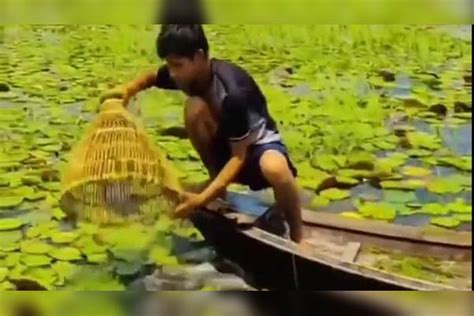 这才是钓鱼大神，男子河里这样手拿竹筐这样徒手捉鱼，真是高手