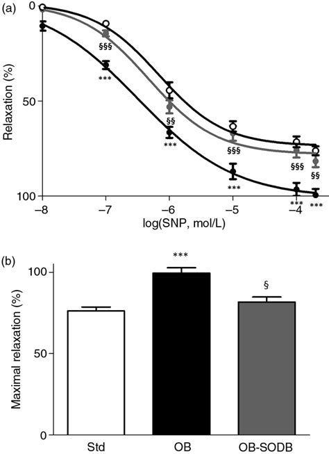 Snp Induced Endothelium Independent Vasorelaxation A Cumulative