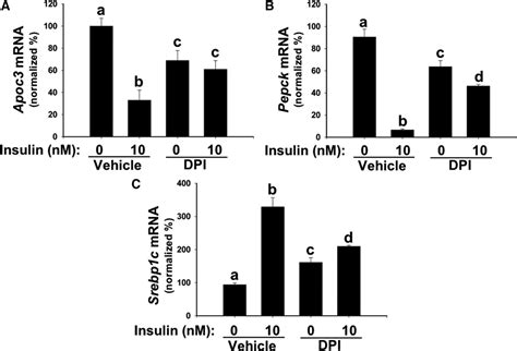 NOX4 Pathway As A Source Of Selective Insulin Resistance And