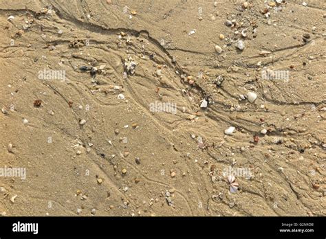 Texture Water Streak On Sand The Beach Stock Photo Alamy