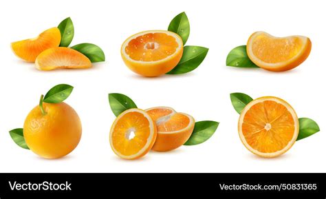 Orange with leaves set Royalty Free Vector Image