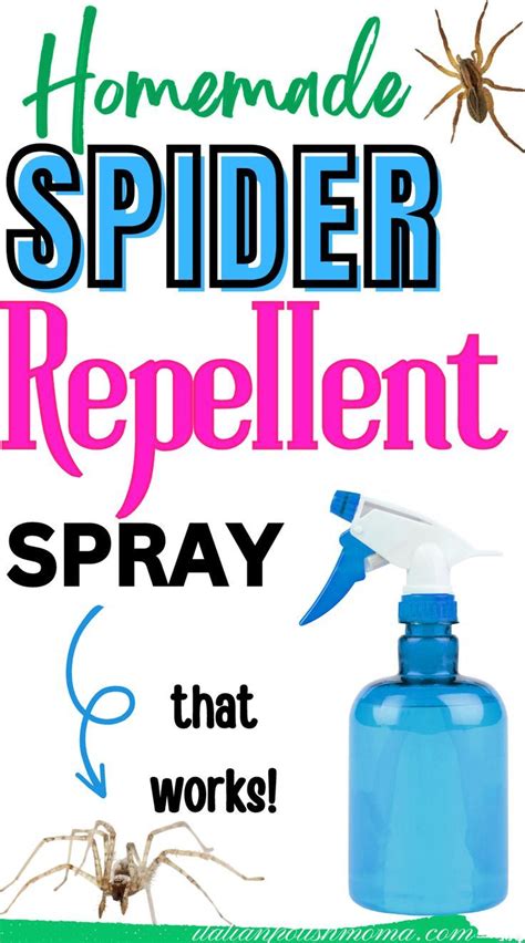 Natural Homemade Spider Repellent Italianpolishmomma Spiders