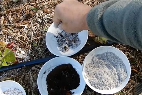 SnailStop Recinto Elettrico Per Le Lumache Un Orso In Campagna