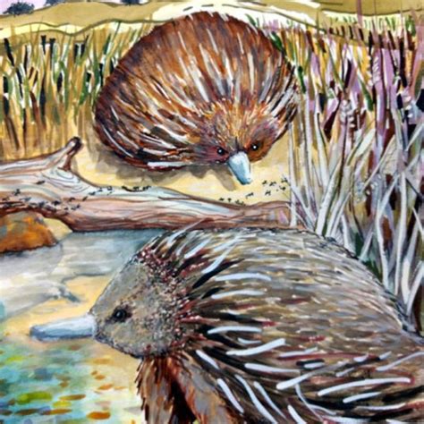 Echidnas Australia Art Puzzles Australia