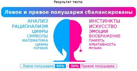 Мой результат теста на левое или правое полушарие: 【Левое полушарие (50 ...