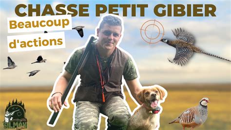 CHASSE PETITS GIBIERS BEAUCOUP D ACTIONS CHASSE EN FAMILLE ET ENTRE