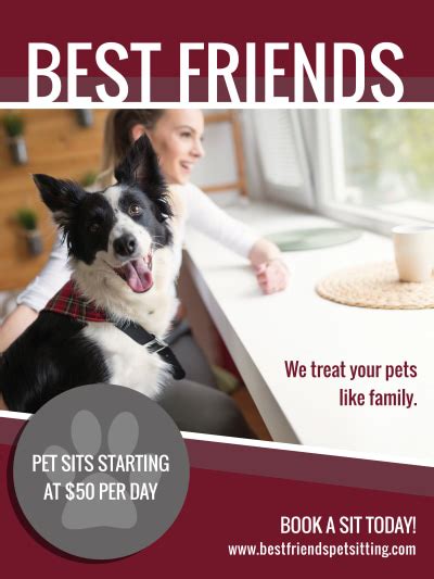 Pet Sitting Poster Templates Mycreativeshop