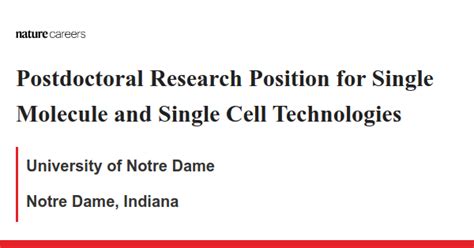 Postdoctoral Research Position For Single Molecule And Single Cell