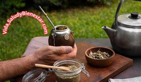 Propiedades Y Beneficios De La Yerba Mate Para La Salud