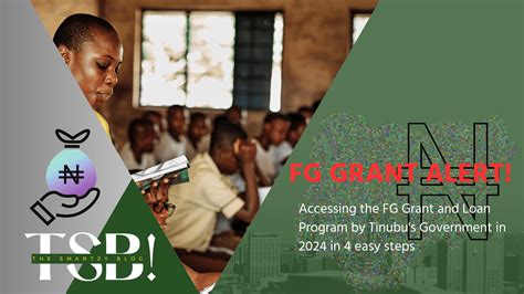 Accessing The Fg Grant And Loan Program By Tinubus Government In 2024