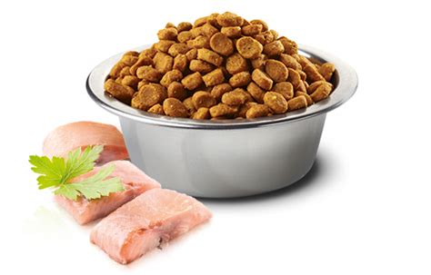 Farmina Pet Foods Alimenti Per Cani N D Ocean Canine Herring