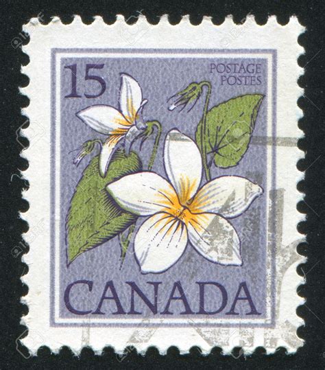 Canada Circa Stamp Printed By Canada Shows Canada Violet