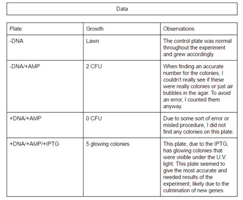 GFP Lab - Brennan Garcia's 
