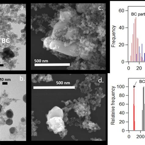 Transmission electron microscopy (TEM) images (a,b), scanning electron ... 