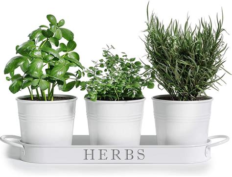 10 Important Tips To Create Your Own Indoor Herb Garden