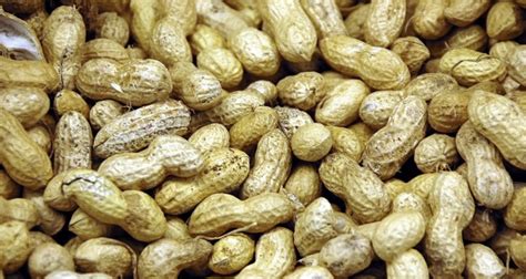 Shelled Peanuts Free Stock Photo Public Domain Pictures