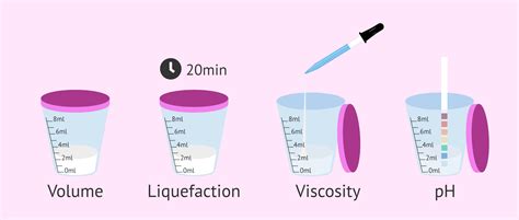 Macroscopic Semen Study