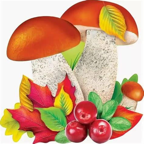 Грибы Картинки Для Оформления – Telegraph