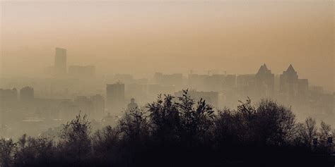 Antibiotic Resistance Linked To Air Pollution Study Suggests The