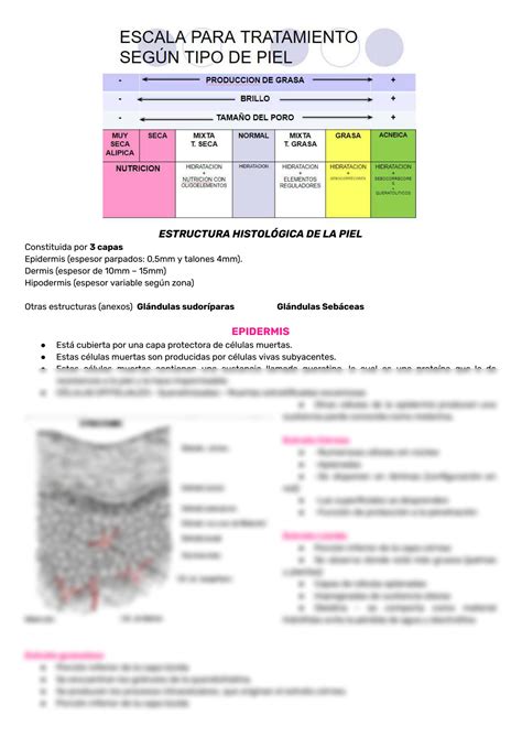 Solution Sistema Tegumentario Y Escala De Tratamiento Segun El Tipo De