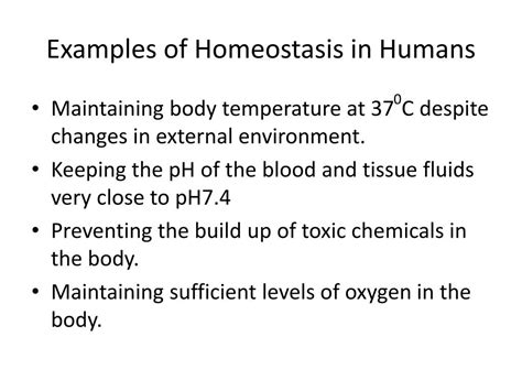 PPT - Homeostasis Chapter 30 pg 302 PowerPoint Presentation, free ...