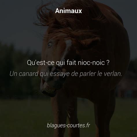 Blagues Animaux Courtes