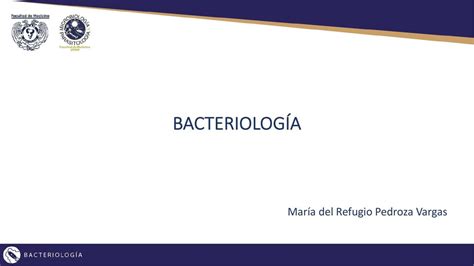 Bacilos Gram Negativos Y Positivos Alisson Gomora Gonzalez Udocz