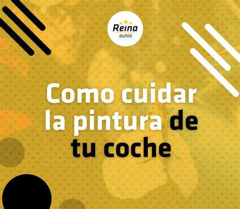 Consejos Para Cuidar La Pintura De Tu Coche Nuevo Autos Reina