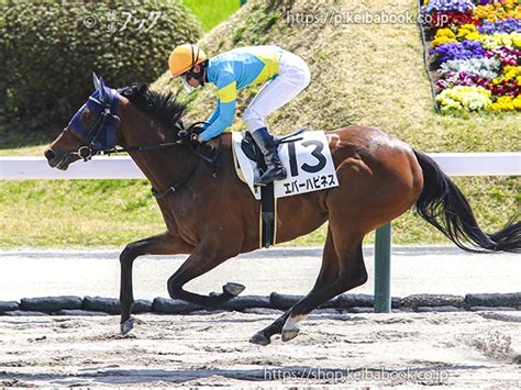 競馬ブックネットshop カラープリントアルミ枠付き2024年4月7日福島3r 4歳以上1勝クラスエバーハピネス