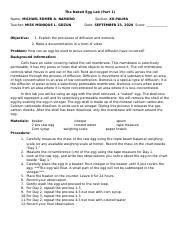 NAMORO Egg Osmosis Diffusion Docx The Naked Egg Lab Part 1 Name