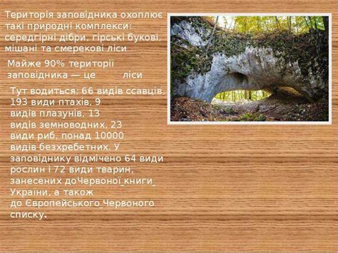 Карпатський заповідник - презентация, доклад, проект скачать